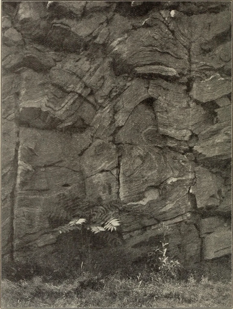 An illustration from Rosicrucian fundamentals : an exposition of the Rosicrucian synthesis of religion, science and philosophy, in fourteen complete instructions, 1920, leaf 409