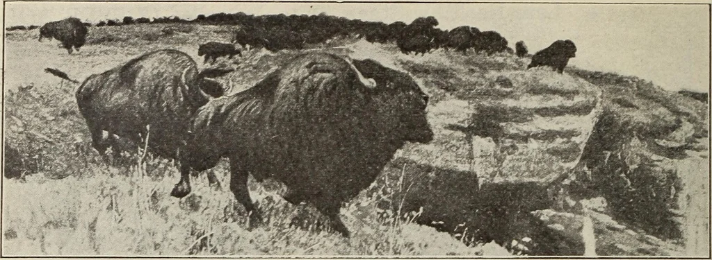 An illustration from Rosicrucian fundamentals : an exposition of the Rosicrucian synthesis of religion, science and philosophy, in fourteen complete instructions, 1920, leaf 55
