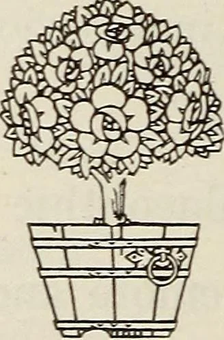 An illustration from Rosicrucian fundamentals : an exposition of the Rosicrucian synthesis of religion, science and philosophy, in fourteen complete instructions, 1920, leaf 63