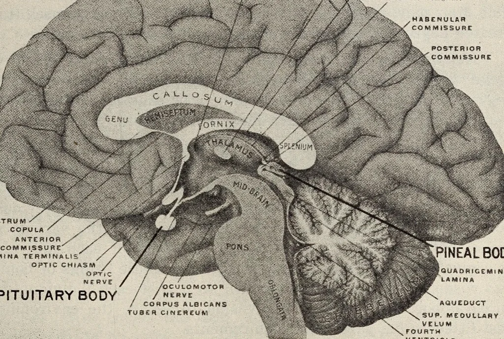 An illustration from Rosicrucian fundamentals : an exposition of the Rosicrucian synthesis of religion, science and philosophy, in fourteen complete instructions, 1920, leaf 76