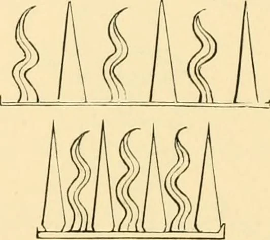 An illustration from The Rosicrucians : their rites and mysteries, 1907, leaf 275