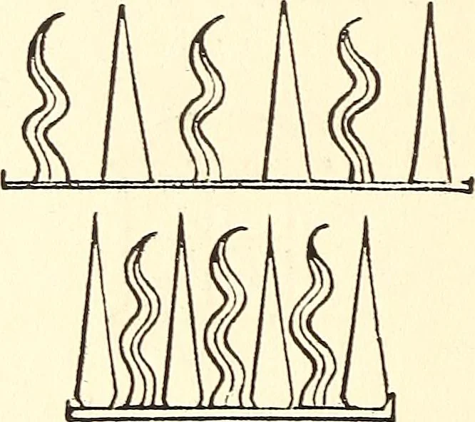 An illustration from The Rosicrucians, their rites and mysteries, 1921, leaf 281