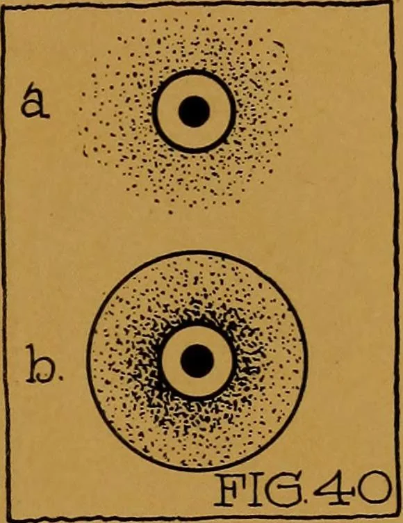 An illustration from Rosicrvcian symbology; a treatise wherein the discerning ones will find the elements of constructive symbology and certain other things, 1916, leaf 40