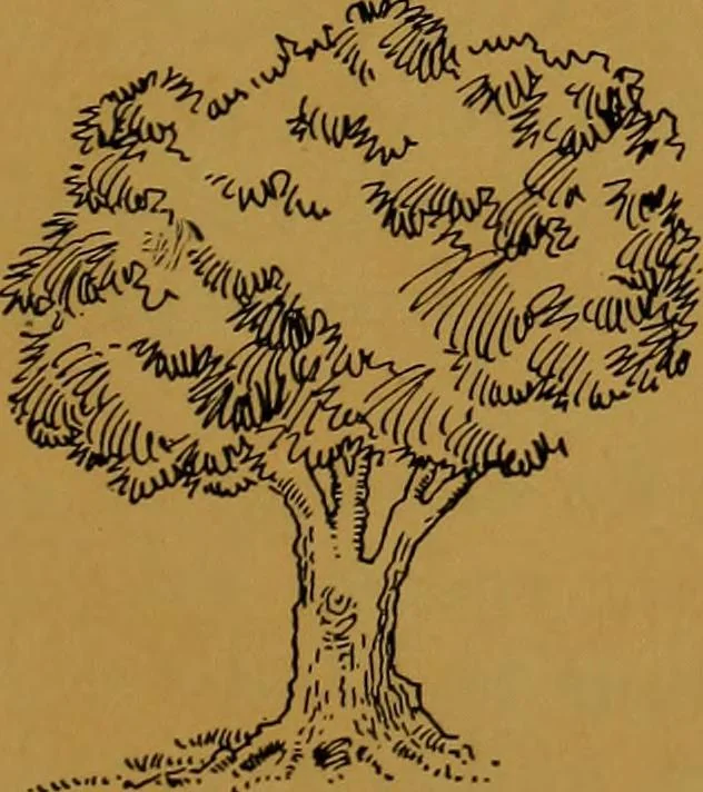 An illustration from Rosicrvcian symbology; a treatise wherein the discerning ones will find the elements of constructive symbology and certain other things, 1916, leaf 66