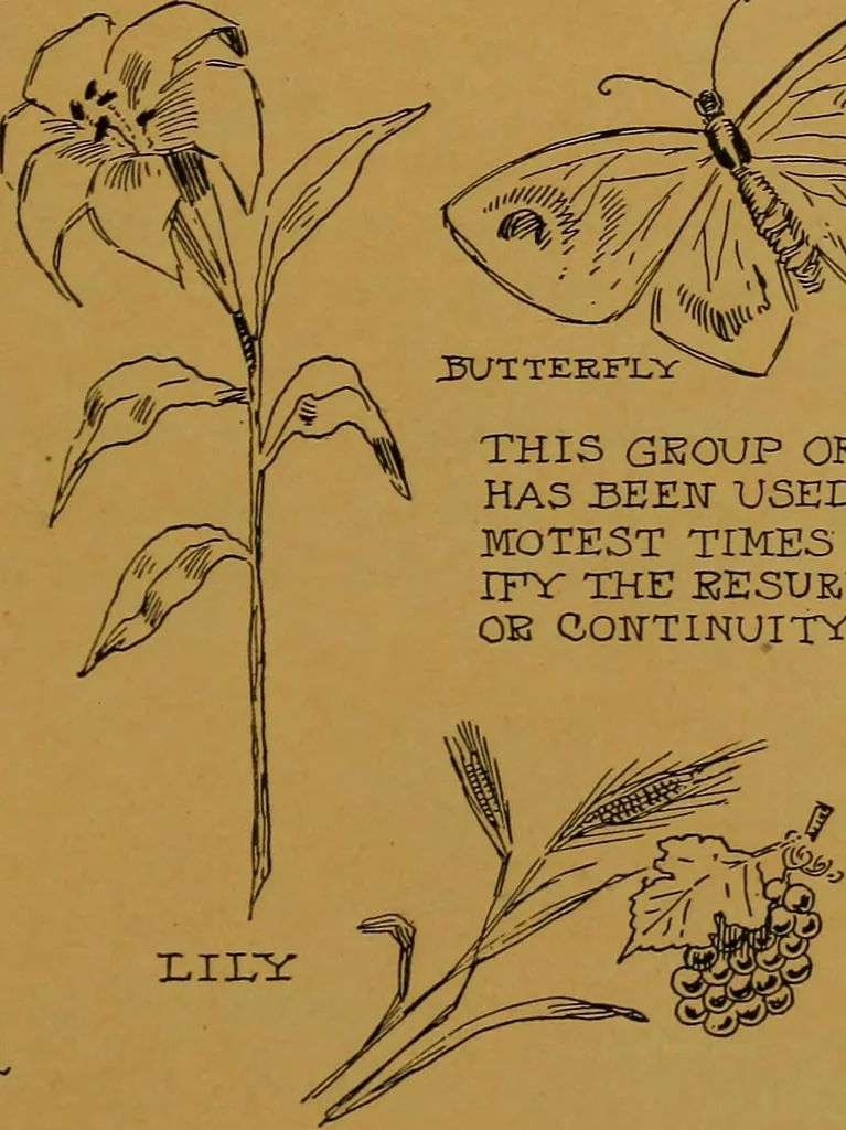 An illustration from Rosicrvcian symbology; a treatise wherein the discerning ones will find the elements of constructive symbology and certain other things, 1916, leaf 68