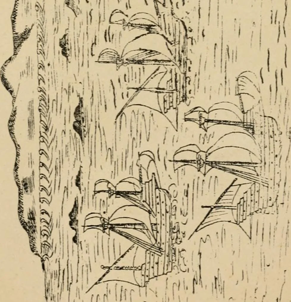 An illustration from Roteiro de Lisboa a Goa, annotado por João de Andrade Corvo, 1882, leaf 418