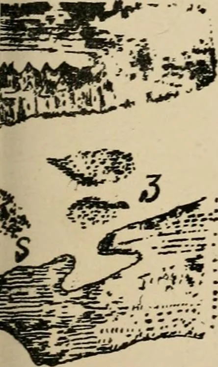 An illustration from Roteiro de Lisboa a Goa, annotado por João de Andrade Corvo, 1882, leaf 48