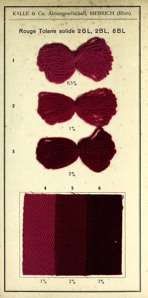 An illustration from Rouge tolane solide 2GL, 2BL, 6BL, 1900, leaf 3