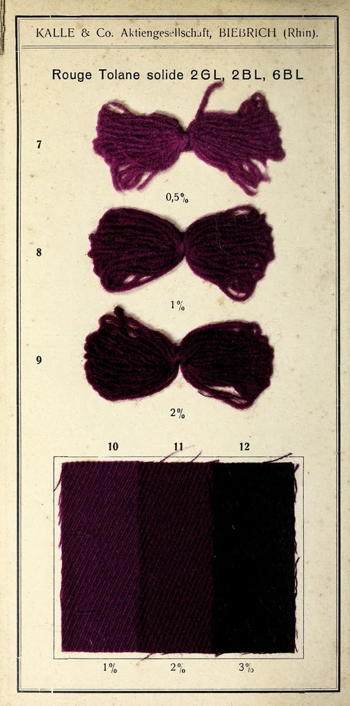 An illustration from Rouge tolane solide 2GL, 2BL, 6BL, 1900, leaf 4