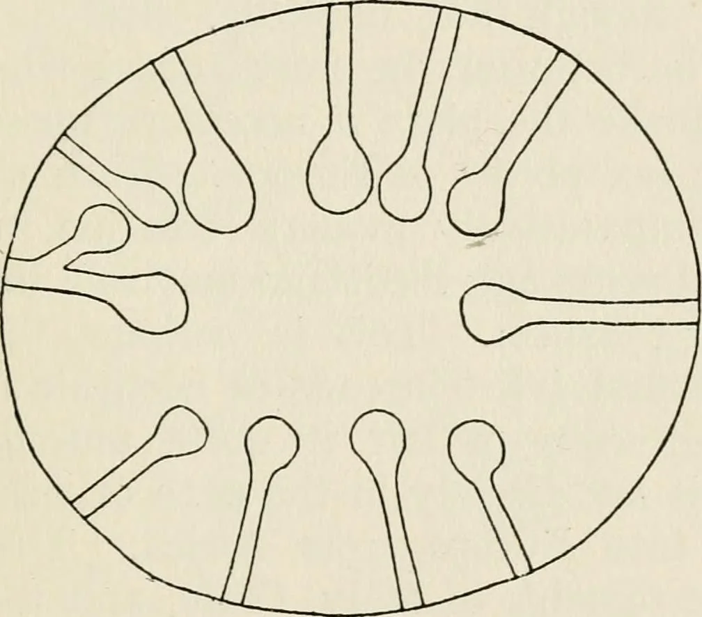 An illustration from Rough stone monuments and their builders, 1912, leaf 120