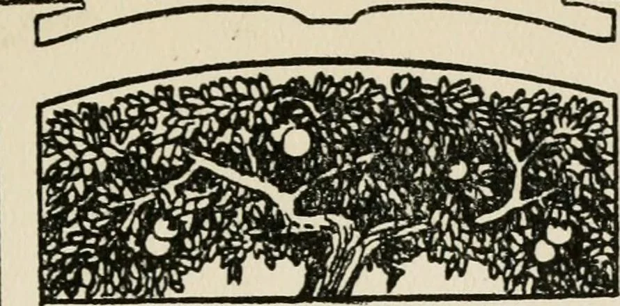 An illustration from Rough stone monuments and their builders, 1912, leaf 6