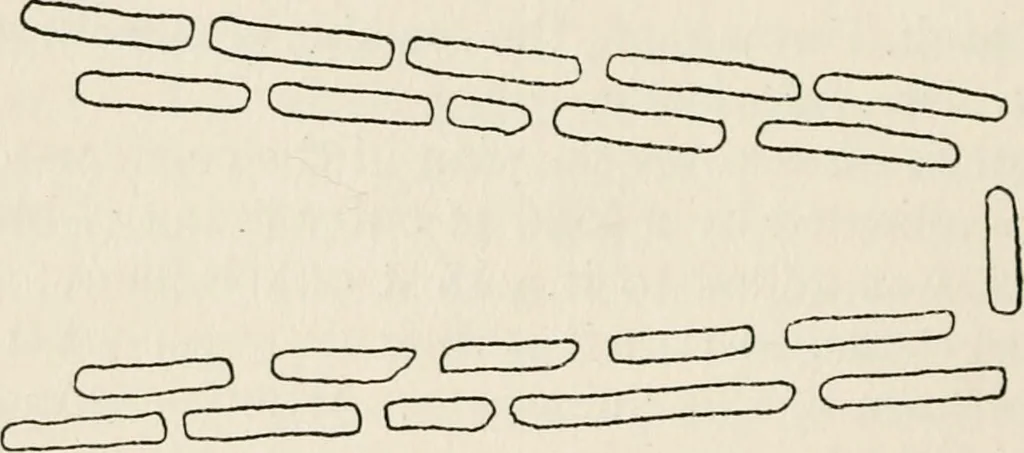 An illustration from Rough stone monuments and their builders, 1912, leaf 65