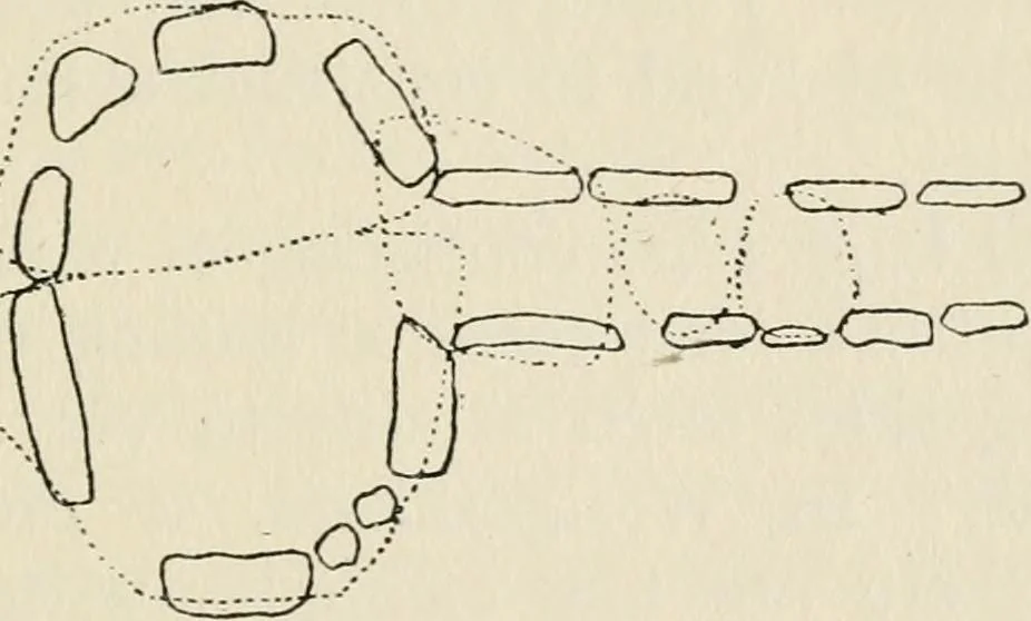 An illustration from Rough stone monuments and their builders, 1912, leaf 74