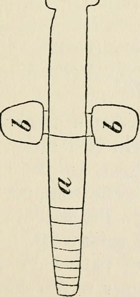 An illustration from Rough stone monuments and their builders, 1912, leaf 86