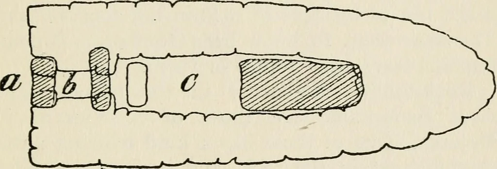 An illustration from Rough stone monuments and their builders, 1912, leaf 94