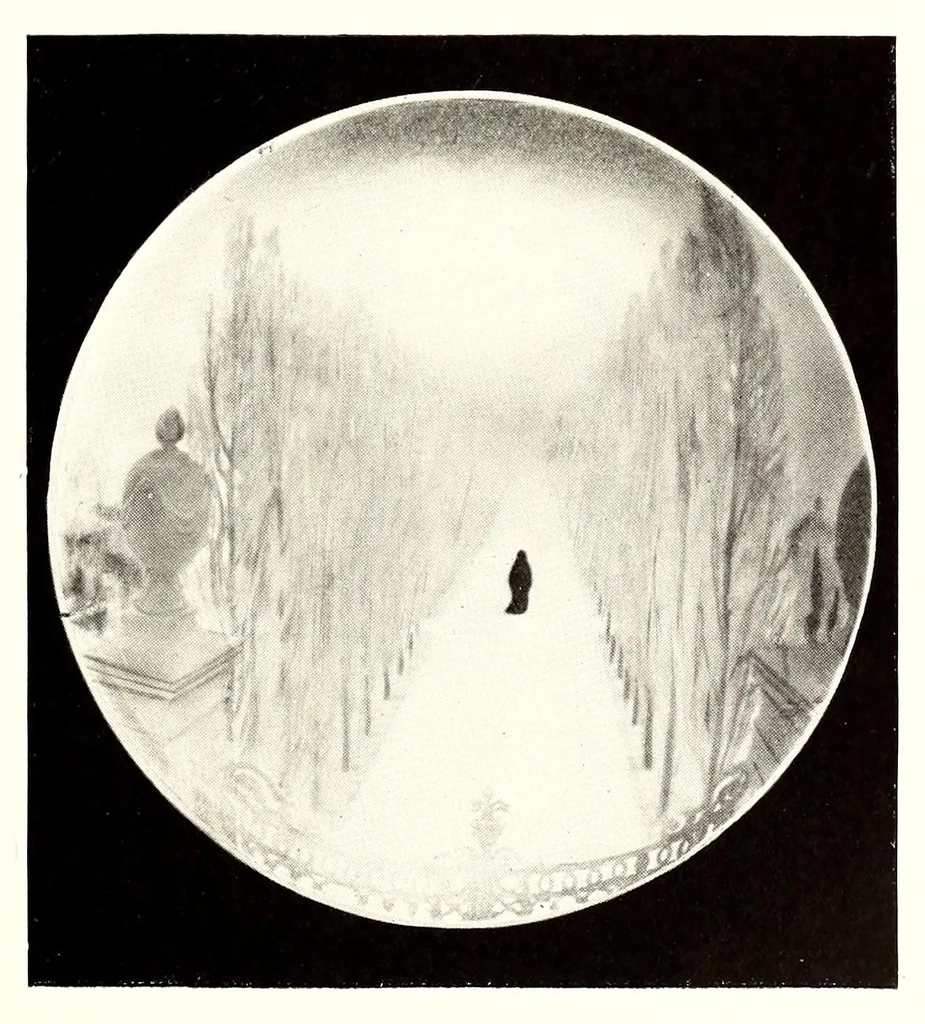 An illustration from Royal Copenhagen porcelain; its history and development from the eighteenth century to the present day, 1911, leaf 323