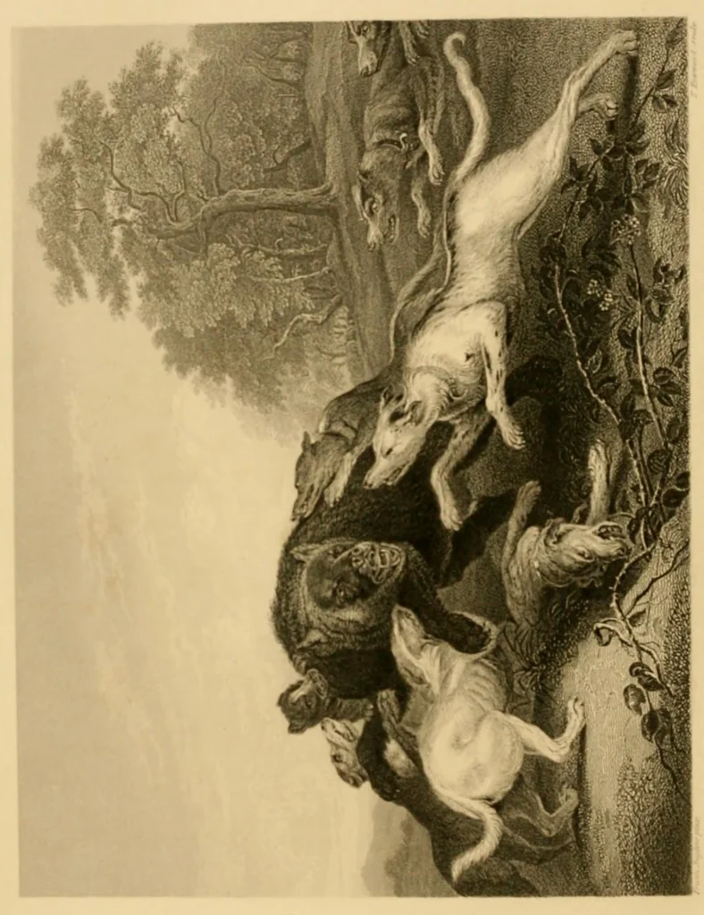 An illustration from Royal Dresden Gallery : being a selection of subjects engraved after pictures by the great masters ... with accompanying notices, consisting of tales, biographies, etc, 1800, leaf 144