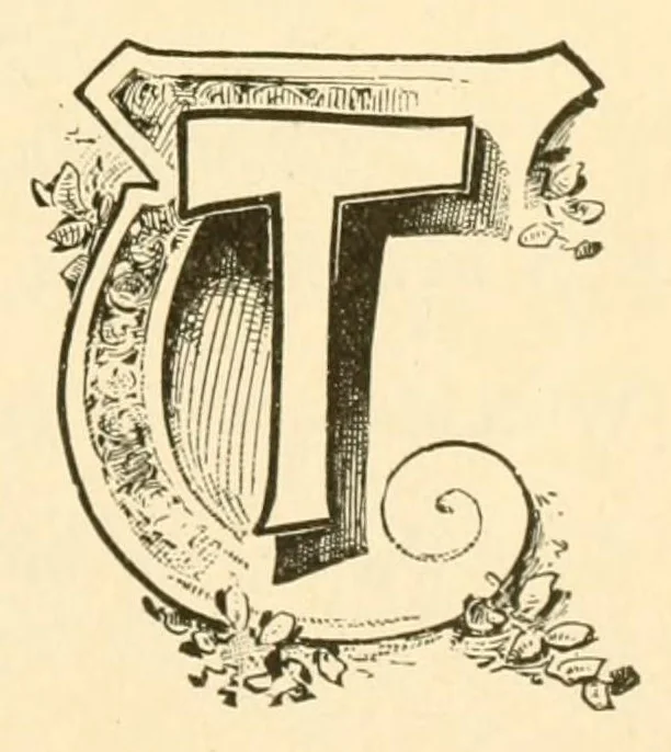 An illustration from Royal gifts for the kindergarten; a manual for self instruction in Friedrich Frbel's principles of education, 1889, leaf 165
