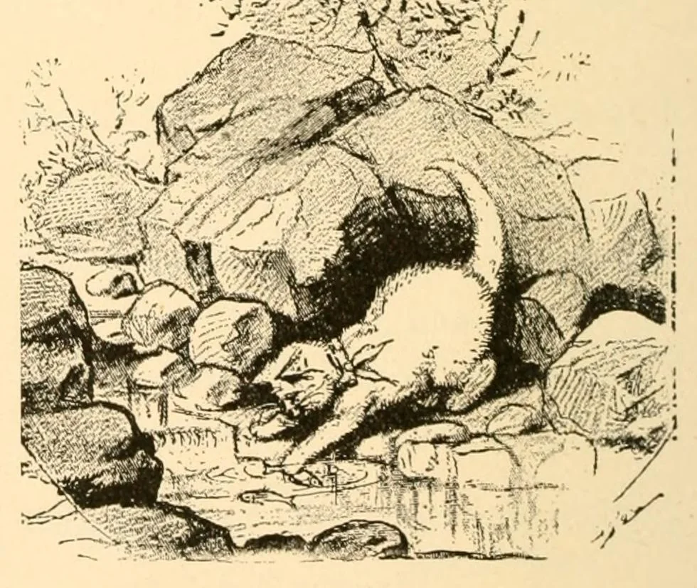 An illustration from Royal gifts for the kindergarten; a manual for self instruction in Friedrich Frbel's principles of education, 1889, leaf 264