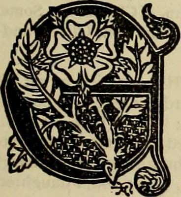 An illustration from The royal lineage of our noble and gentle families. Together with their paternal ancestry .., 1884, leaf 36