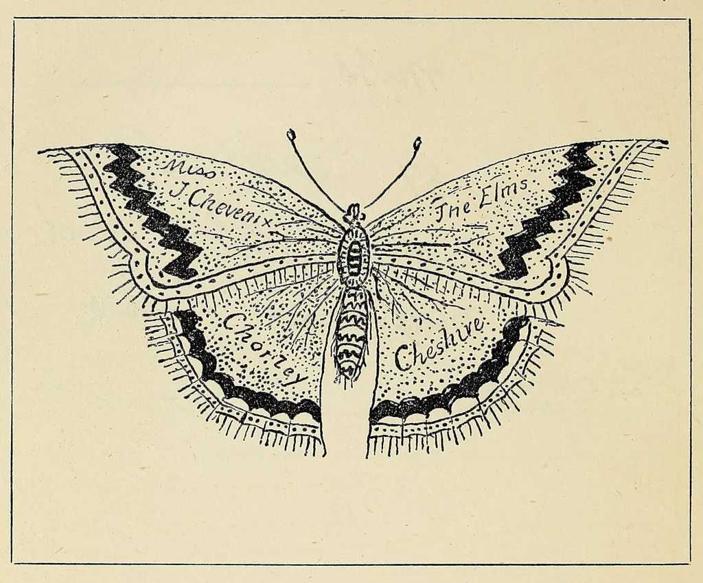 An illustration from The royal mail: its curiosities and romance, 1885, leaf 230