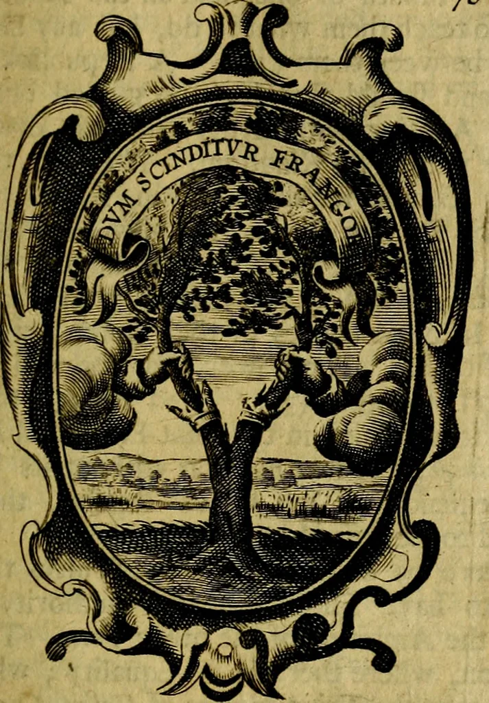 An illustration from The royal politician represented in one hundred emblems, 1700, leaf 168