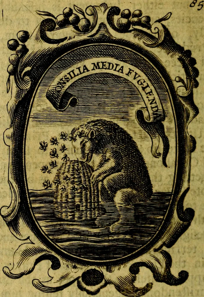 An illustration from The royal politician represented in one hundred emblems, 1700, leaf 265