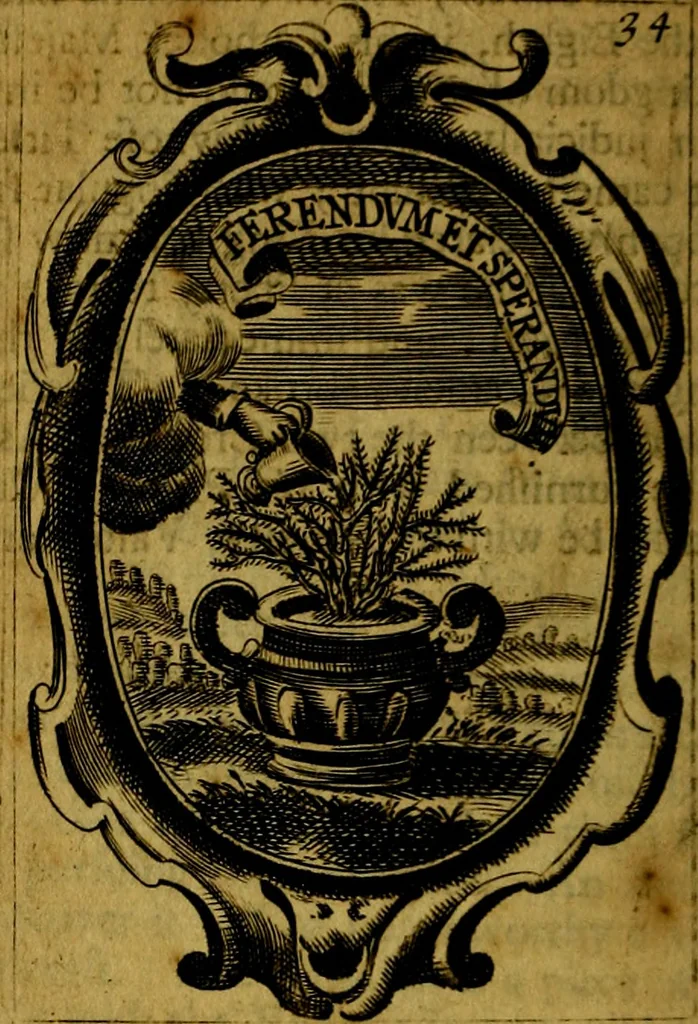 An illustration from The royal politician represented in one hundred emblems, 1700, leaf 275
