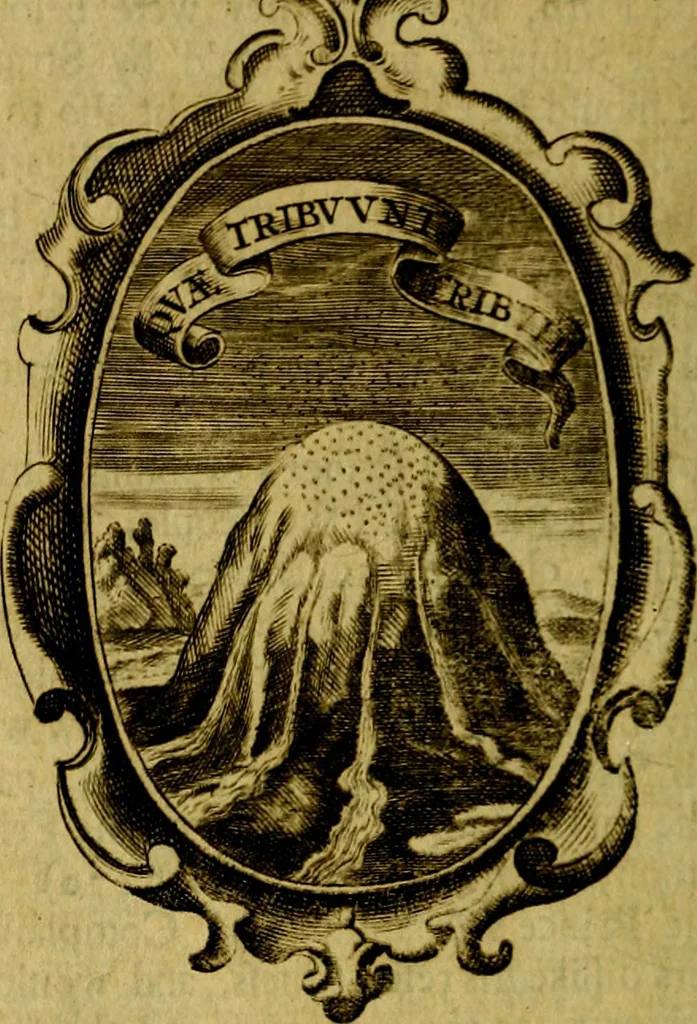 An illustration from The royal politician represented in one hundred emblems, 1700, leaf 311