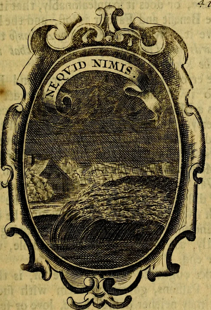 An illustration from The royal politician represented in one hundred emblems, 1700, leaf 316