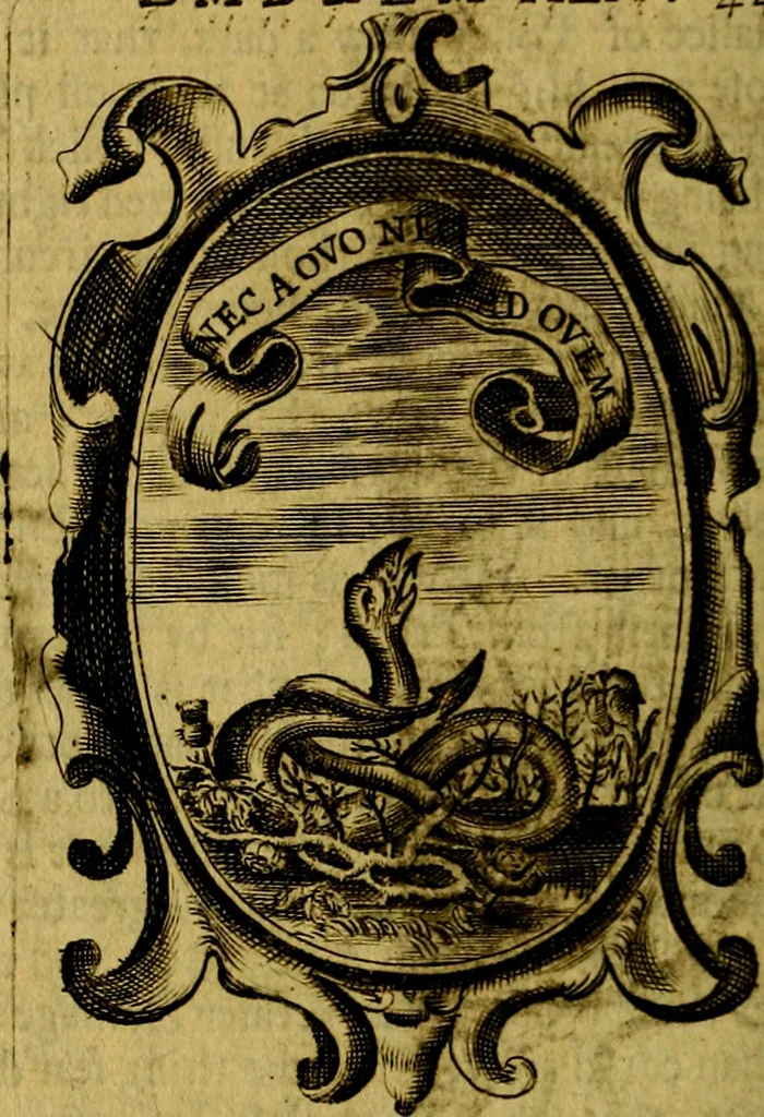 An illustration from The royal politician represented in one hundred emblems, 1700, leaf 335