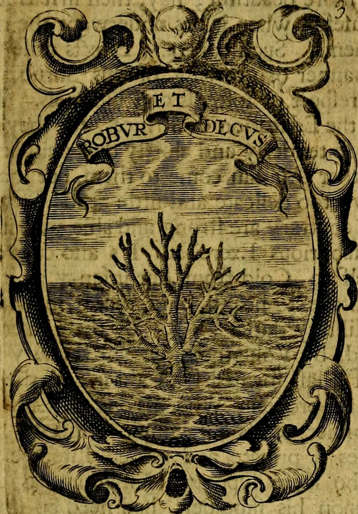 An illustration from The royal politician represented in one hundred emblems, 1700, leaf 44