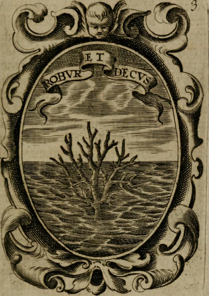 An illustration from The royal politician represented in one hundred emblems, 1700, leaf 46