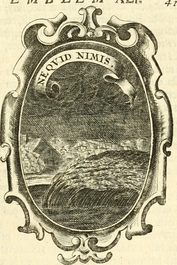 An illustration from The royal politician represented in one hundred emblems, 1700, leaf 318