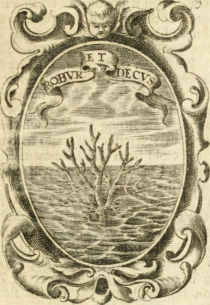 An illustration from The royal politician represented in one hundred emblems, 1700, leaf 46
