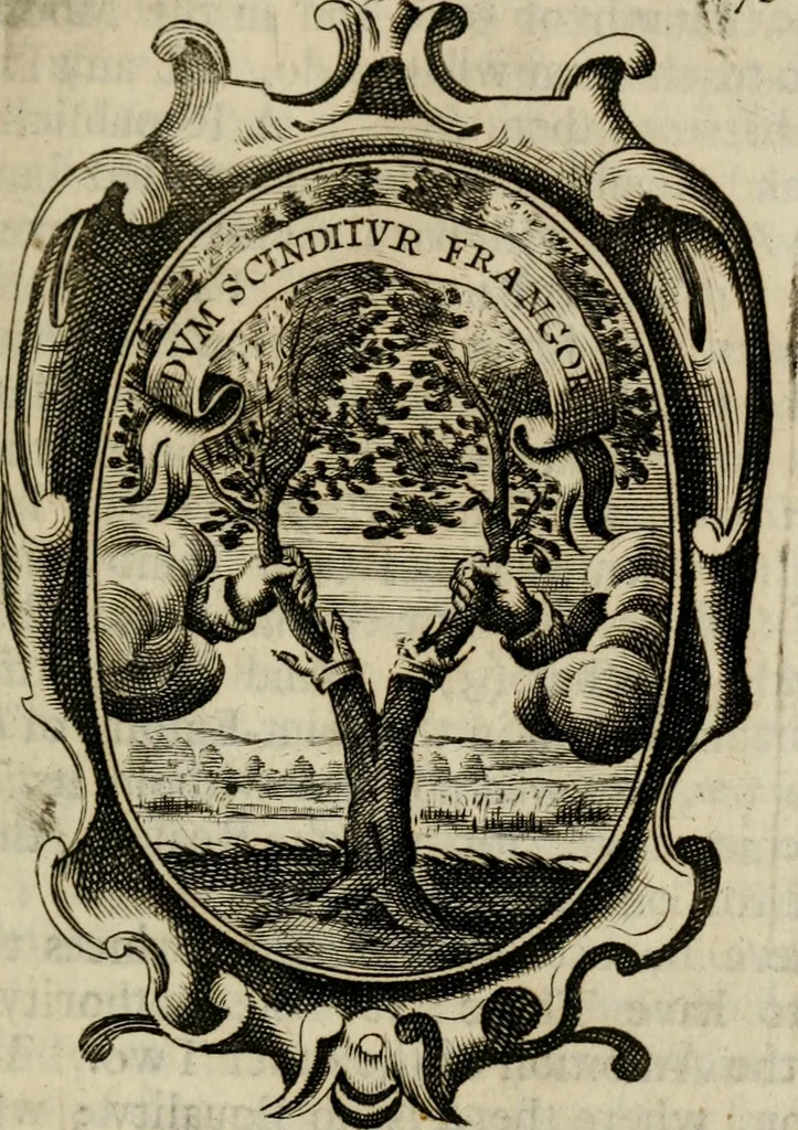 An illustration from The royal politician represented in one hundred emblems, 1700, leaf 172