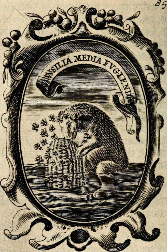 An illustration from The royal politician represented in one hundred emblems, 1700, leaf 269