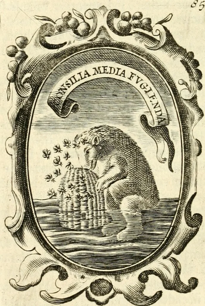 An illustration from The royal politician represented in one hundred emblems, 1700, leaf 265