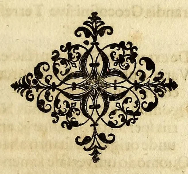 An illustration from R.P. Athanasii Kircheri e Societate Jesu Iter extaticum cœleste, : quo mundi opificium, id est, cœlestis expansi, siderumq[ue] tam errantium, quàm fixorum natura, vires, proprietates, singulorumq[ue] compositio & structura, ab infimo telluris globo, usq[ue] ad ultima mundi confinia, per ficti raptus integumentum explorata, novâ hypothesi exponitur ad veritatem, interlocutoribus Cosmiele et Theodidacto, 1660, leaf 29