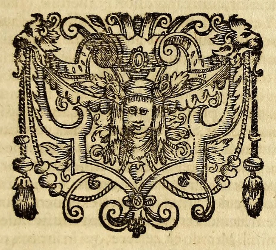 An illustration from R.P. Athanasii Kircheri e Societate Jesu Iter extaticum cœleste, : quo mundi opificium, id est, cœlestis expansi, siderumq[ue] tam errantium, quàm fixorum natura, vires, proprietates, singulorumq[ue] compositio & structura, ab infimo telluris globo, usq[ue] ad ultima mundi confinia, per ficti raptus integumentum explorata, novâ hypothesi exponitur ad veritatem, interlocutoribus Cosmiele et Theodidacto, 1660, leaf 741