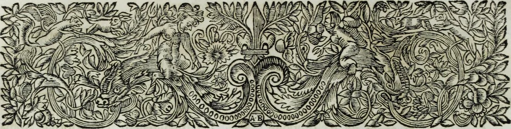 An illustration from R.P.D. Antoninus Diana Panormitanus ... Coordinatus, seu, Omnes resolutiones morales : eius ipsissimis verbis ad propria loca, & materias fideliter dispositae, ac distributae .., 1680, leaf 11