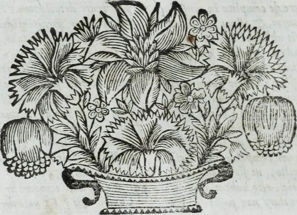 An illustration from R.P.D. Antoninus Diana Panormitanus ... Coordinatus, seu, Omnes resolutiones morales : eius ipsissimis verbis ad propria loca, & materias fideliter dispositae, ac distributae .., 1680, leaf 117