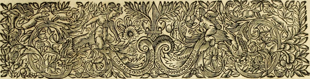 An illustration from R.P.D. Antoninus Diana Panormitanus ... Coordinatus, seu, Omnes resolutiones morales : eius ipsissimis verbis ad propria loca, & materias fideliter dispositae, ac distributae .., 1680, leaf 118