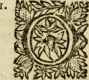 An illustration from R.P.D. Antoninus Diana Panormitanus ... Coordinatus, seu, Omnes resolutiones morales : eius ipsissimis verbis ad propria loca, & materias fideliter dispositae, ac distributae .., 1680, leaf 118