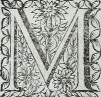 An illustration from R.P.D. Antoninus Diana Panormitanus ... Coordinatus, seu, Omnes resolutiones morales : eius ipsissimis verbis ad propria loca, & materias fideliter dispositae, ac distributae .., 1680, leaf 541