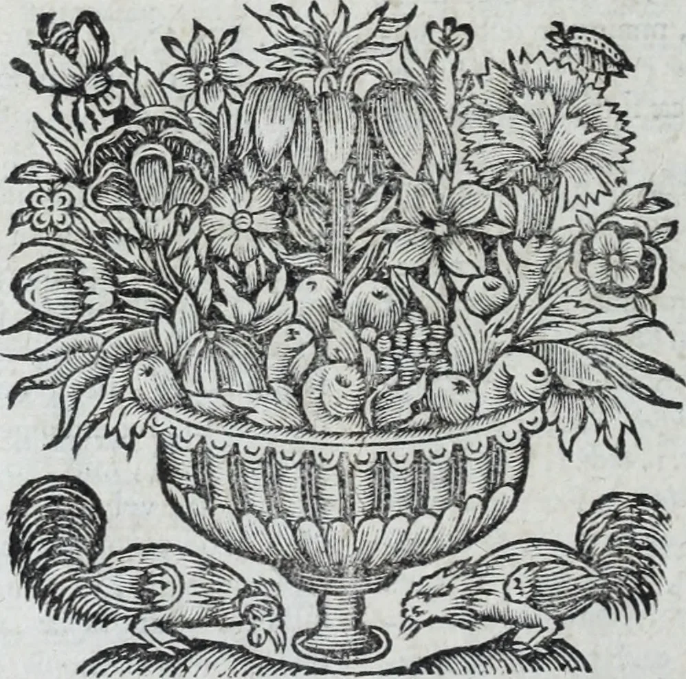 An illustration from R.P.D. Antoninus Diana Panormitanus ... Coordinatus, seu, Omnes resolutiones morales : eius ipsissimis verbis ad propria loca, & materias fideliter dispositae, ac distributae .., 1680, leaf 573