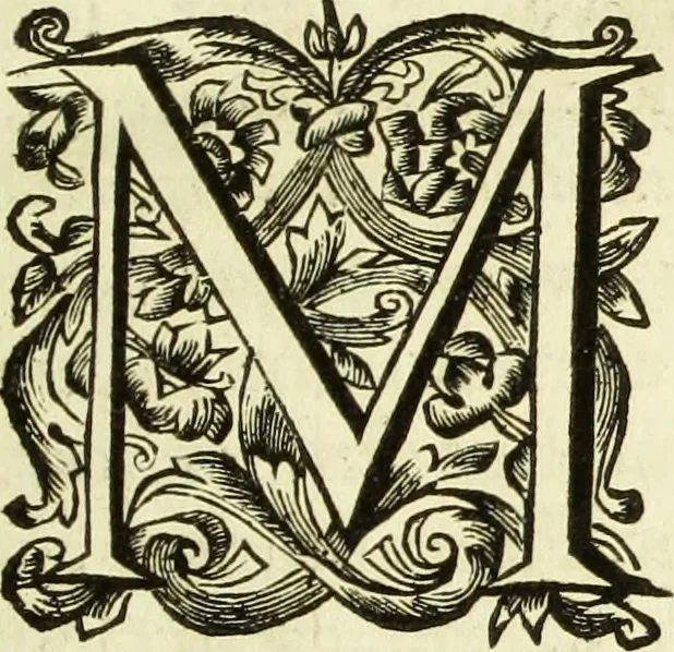 An illustration from R.P.D. Antoninus Diana Panormitanus ... Coordinatus, seu, Omnes resolutiones morales : eius ipsissimis verbis ad propria loca, & materias fideliter dispositae, ac distributae .., 1680, leaf 6