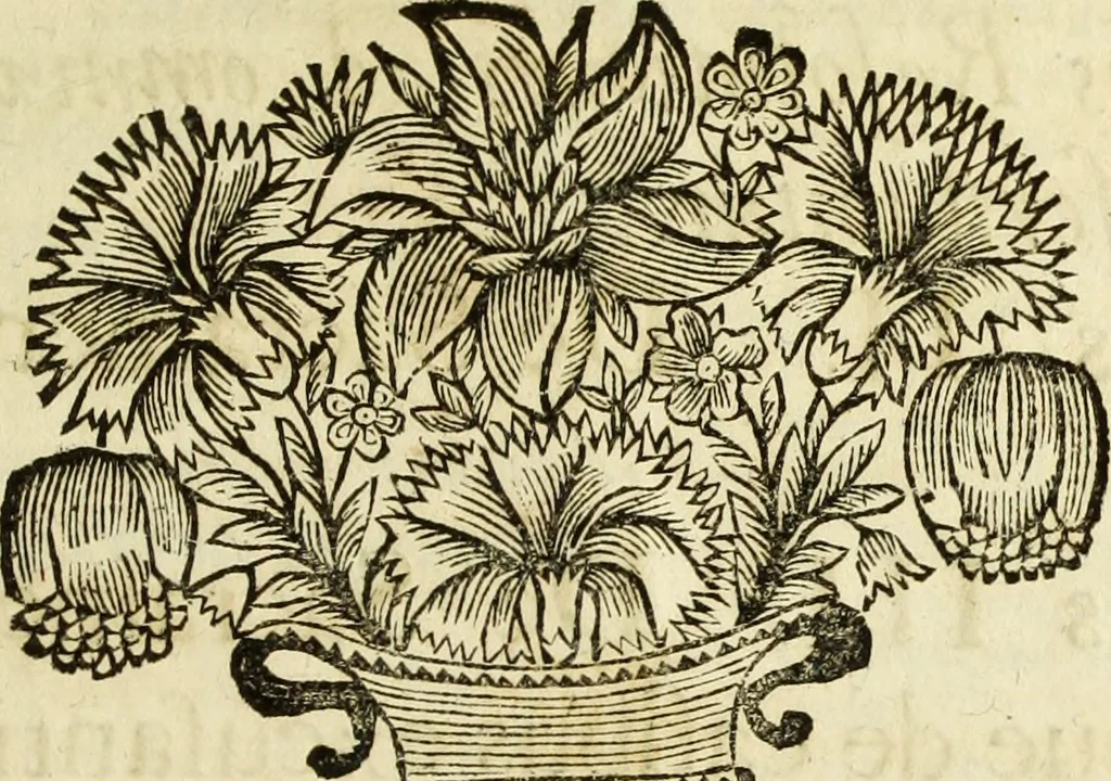 An illustration from R.P.D. Antoninus Diana Panormitanus ... Coordinatus, seu, Omnes resolutiones morales : eius ipsissimis verbis ad propria loca, & materias fideliter dispositae, ac distributae .., 1680, leaf 66