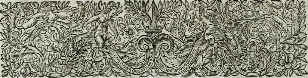 An illustration from R.P.D. Antoninus Diana Panormitanus ... Coordinatus, seu, Omnes resolutiones morales : eius ipsissimis verbis ad propria loca, & materias fideliter dispositae, ac distributae .., 1680, leaf 67