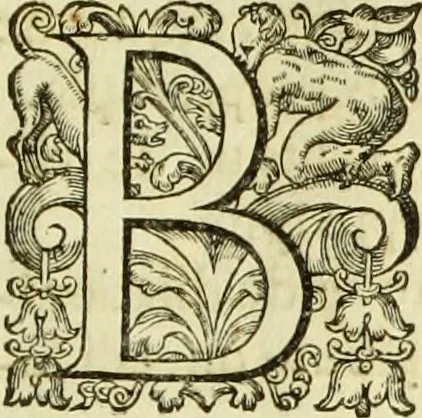 An illustration from R.P.D. Antoninus Diana Panormitanus ... Coordinatus, seu, Omnes resolutiones morales : eius ipsissimis verbis ad propria loca, & materias fideliter dispositae, ac distributae .., 1680, leaf 8